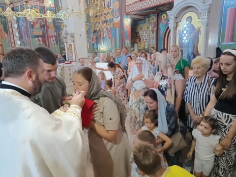 IMG_20250819_101450602_HDR_resize