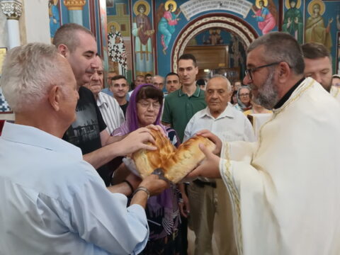 IMG_20250819_103536823_MP_resize