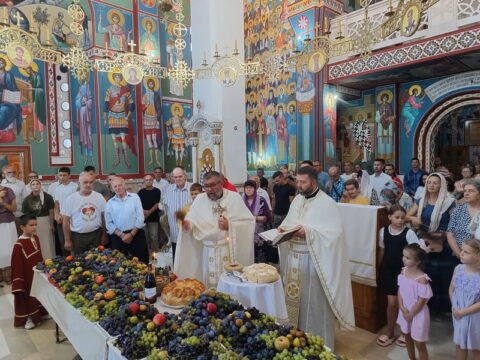 IMG_20250819_103938662_HDR_resize