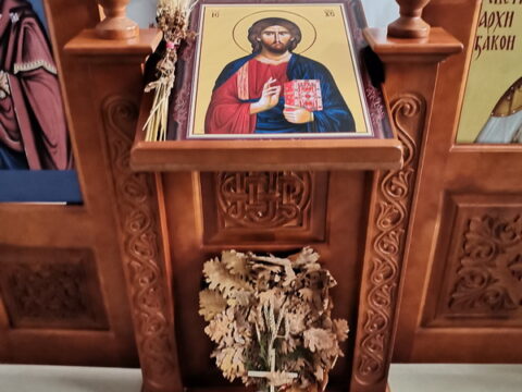 IMG_20260106_124936_resize