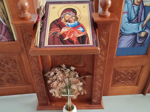 IMG_20260106_125053_resize