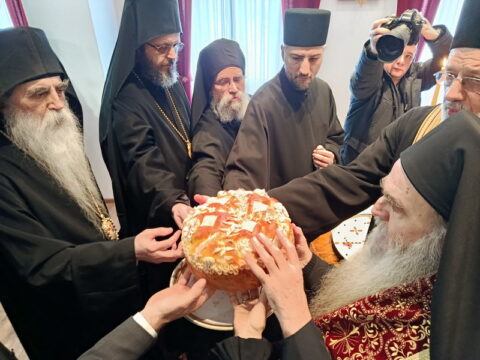 IMG_20260120_120844_resize