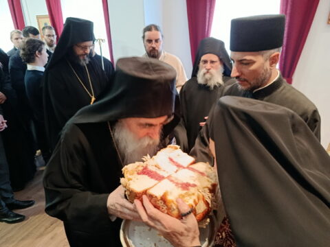 IMG_20260120_120959_resize