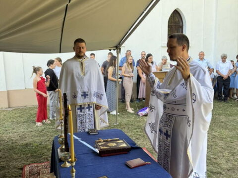 IMG_2553_resize