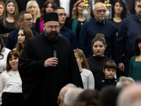 IMG_3120_resize_resize