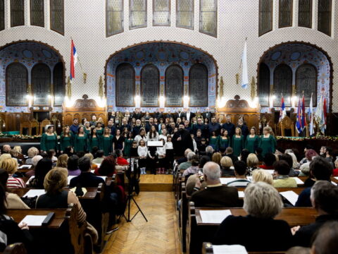 IMG_3142_resize_resize