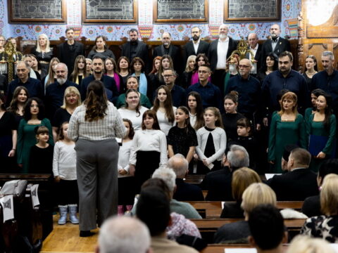 IMG_3164_resize_resize