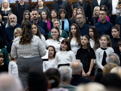 IMG_3173_resize_resize