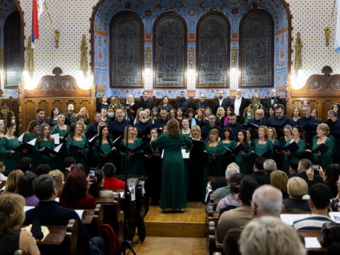 IMG_3184_resize_resize