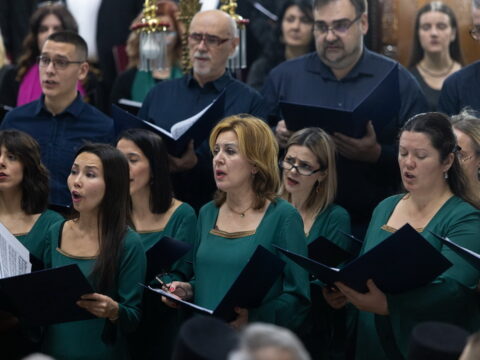 IMG_3204_resize_resize