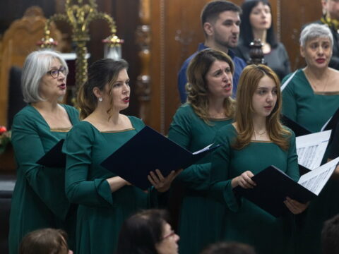 IMG_3208_resize_resize