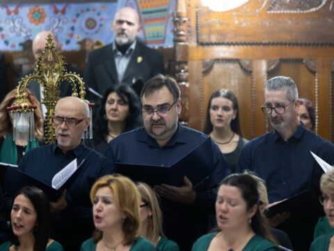 IMG_3216_resize_resize