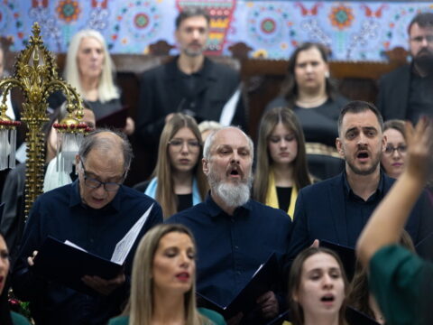 IMG_3218_resize_resize