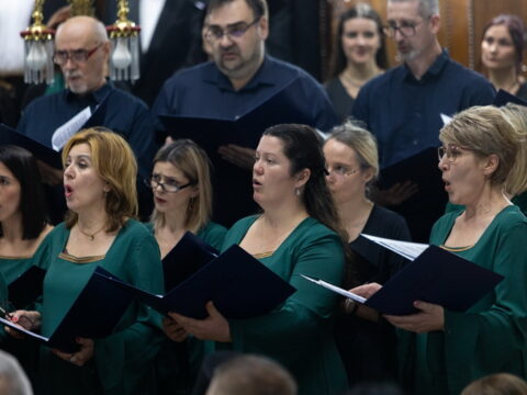 IMG_3221_resize_resize