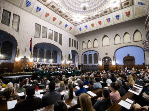 IMG_3340_resize_resize