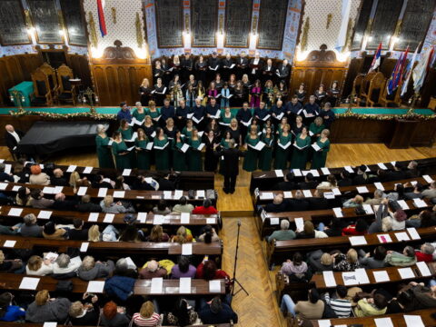 IMG_3394_resize_resize