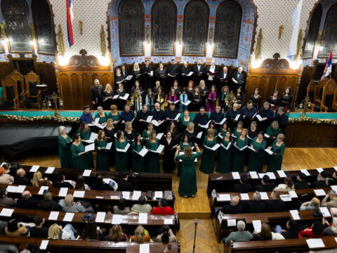 IMG_3405_resize_resize