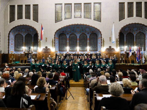 IMG_3415_resize_resize