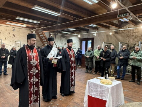 IMG_3647_764eb267-caea-4215-b588-43e5ade4b530_resize