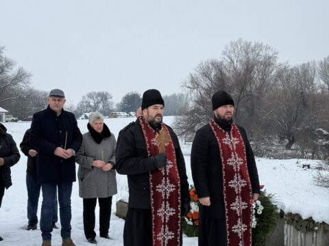 IMG_3653_43d1340f-f90e-472a-bc55-abdcf5df40f6_resize