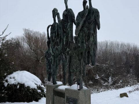 IMG_3654_f2934c64-d0a4-4a7b-8c63-e0b54805ea9a_resize