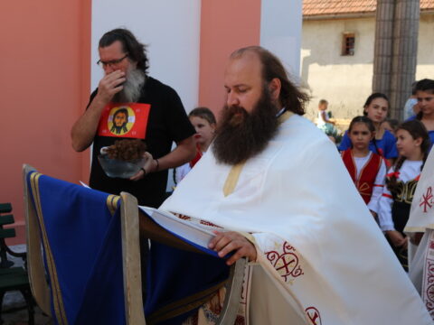 IMG_7671_resize