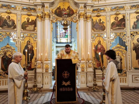 aa30c583-821a-44b2-aed2-4936c1b62c11_resize_resize