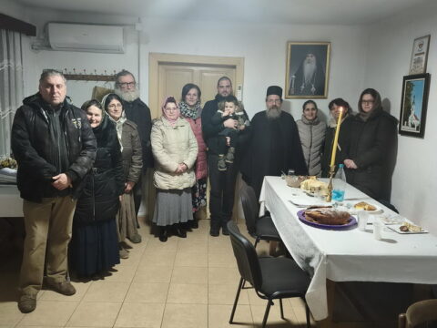 20260215_184446_resize