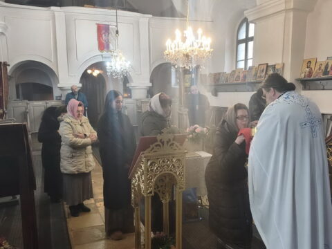 20260215_184647_resize