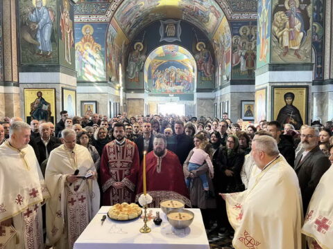 IMG-d895339009c6685a0e33018a1a8600c2-V_resize