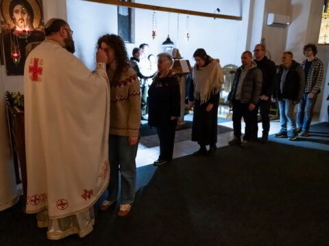 R6TO3830_resize_resize