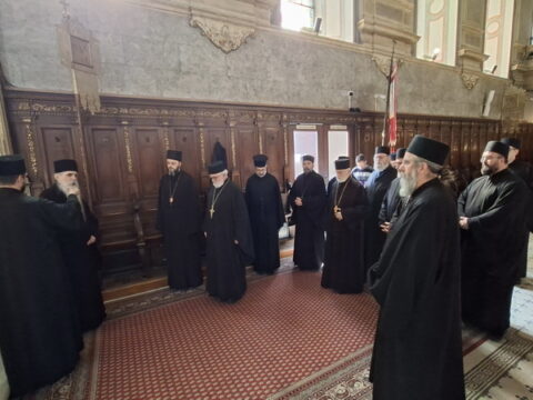 20260309_124835_resize