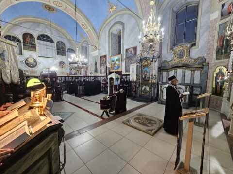 20260309_180826_resize