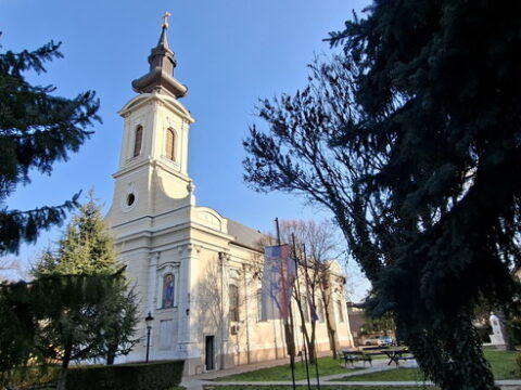 20260315_081921_resize