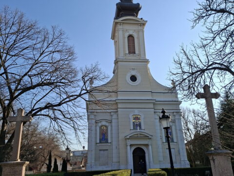 20260315_082728_resize