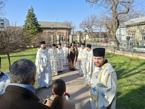 20260315_084332_resize