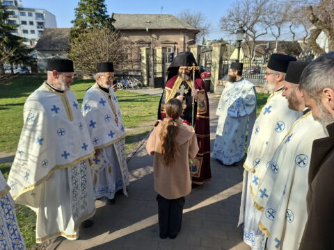 20260315_084340_resize