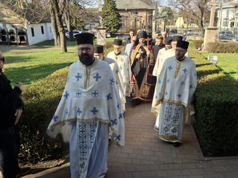 20260315_084513_resize