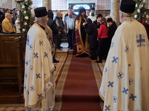 20260315_084555_resize