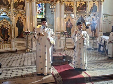 20260315_084650_resize