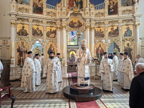 20260315_085905_resize