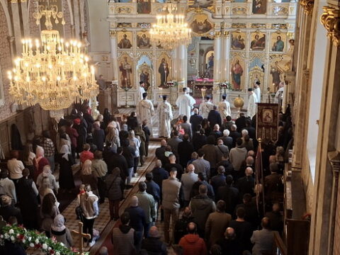 20260315_090501_resize