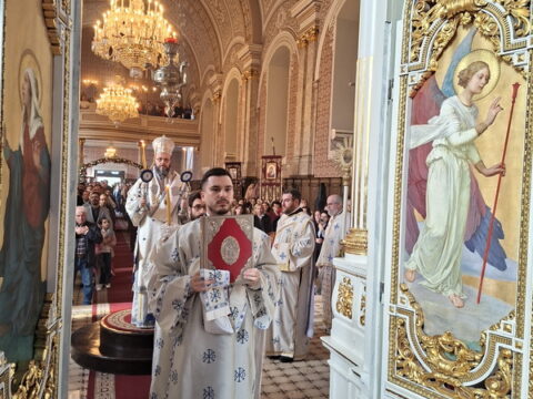 20260315_091434_resize