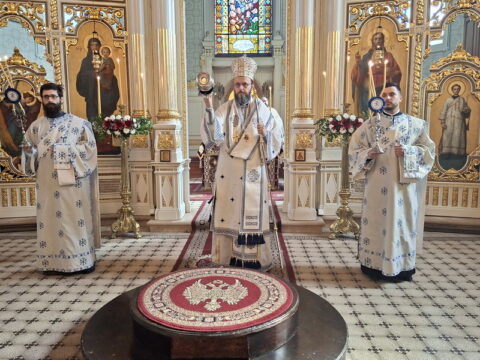 20260315_091746_resize