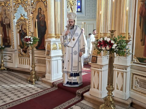 20260315_092010_resize