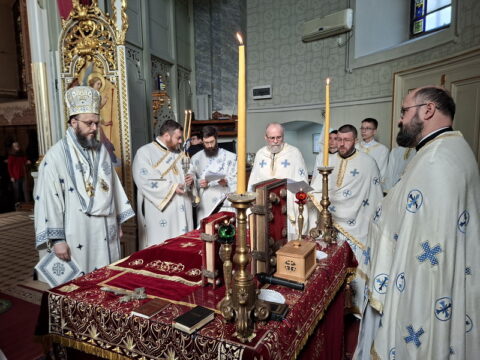 20260315_092118_resize