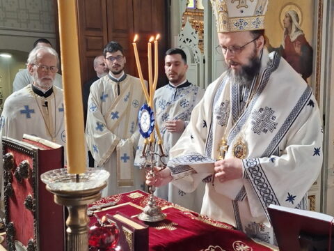 20260315_092602_resize