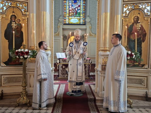 20260315_092730_resize