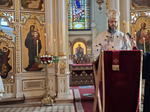 20260315_093806_resize