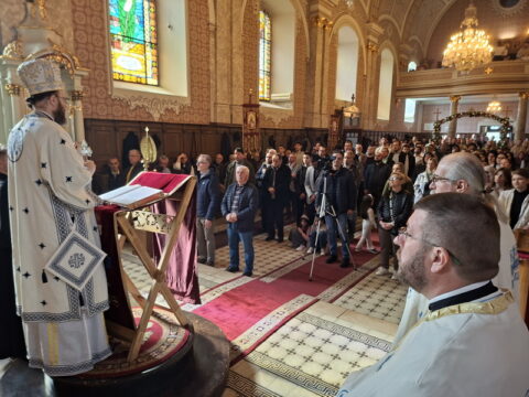 20260315_093903_resize